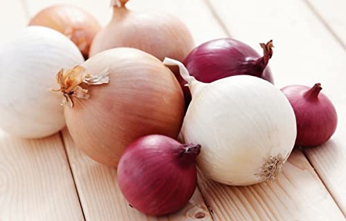 Kira Seeds - Onion Mix - Neutral Day - Heirloom Vegetable - Gmo Free #TOP3