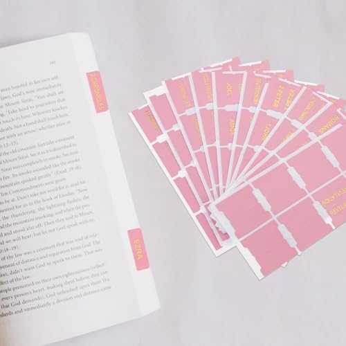 Etiquetas de índice bíblicas de cuero rosa para evitar dañar páginas de libros escolares 5