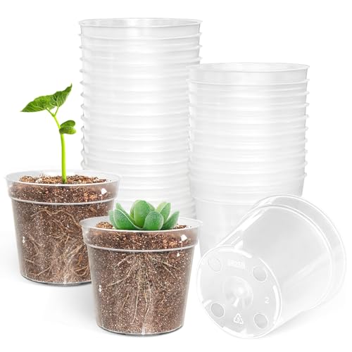 BTPLASTIK 50 Pack 2.5 Inch Clear Nursery Pots for Plants, Sturdy Plastic Plant Pot for Planting...