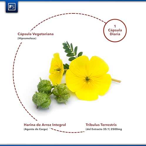 FS Tribulus Terrestris | 180 Cápsulas de Tribulus-Terrestris de Alta Potencia - 2500mg de Tribulus (Del Extracto 35:1) por Cápsula | Sin OGM, Gluten ni Alérgenos | Fabricado en el Reino Unido.