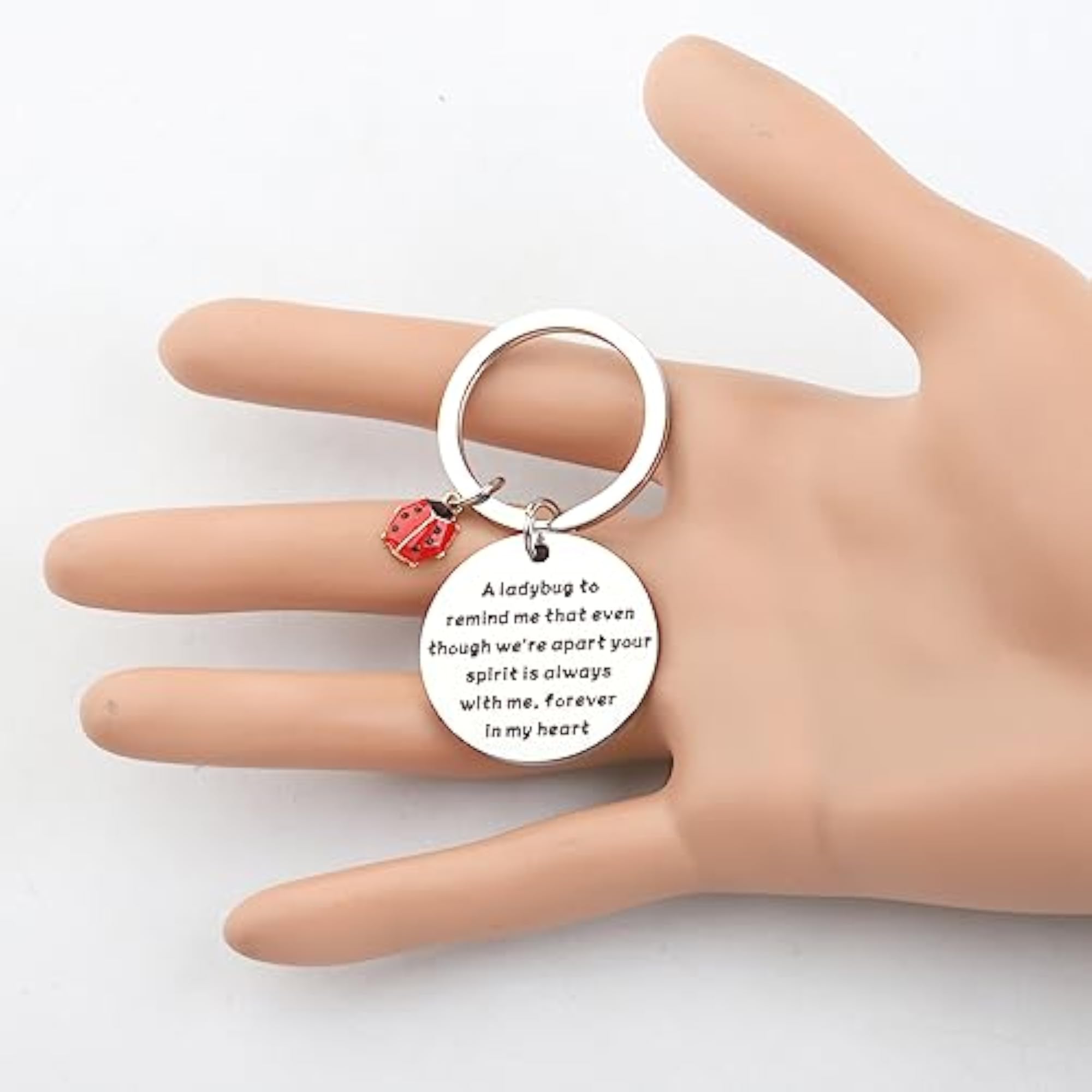 Ladybug Sympathy Gift, Memorial Remembrance Gift