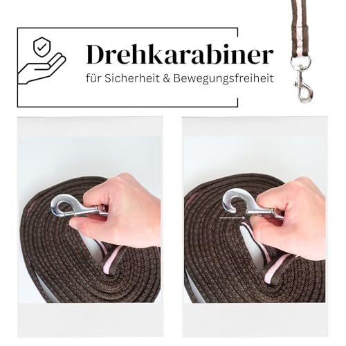 Longierleine für Pferde Longe Pferd ideal für Bodenarbeit, Gymnastizierung, Softlonge Länge 8m (Braun Rosa)