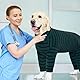 Kuoser Hundebody Nach Op, Hundebody Nach Kastration, Op Body Hund Kastration Hündin, Hundebody Mit Beinen, Body Für Hunde Nach Op，Hundepyjama für Kleine Mittelgroße Hunde Grün S