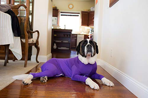 Image of shed Defender Purple pet mini