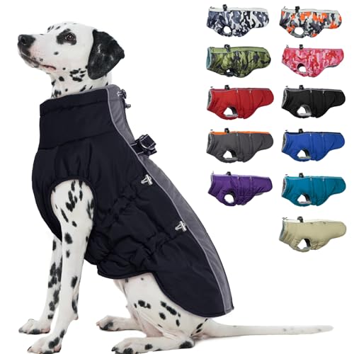 IKIPUKO hbOR[g - g WbvAbv Xm[X[c  h WPbg ^p ubN