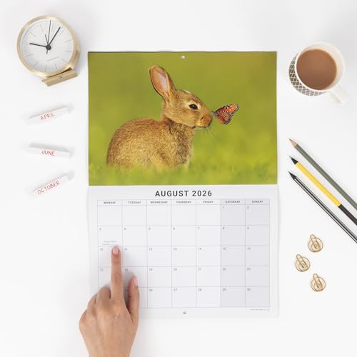 2026 British Wildlife Wall Calendar - UK Nature Photography, Foxes, Deer, Owls - Month to View Planner, A3 When Open - Premium 170gsm Silk Paper - Image 3