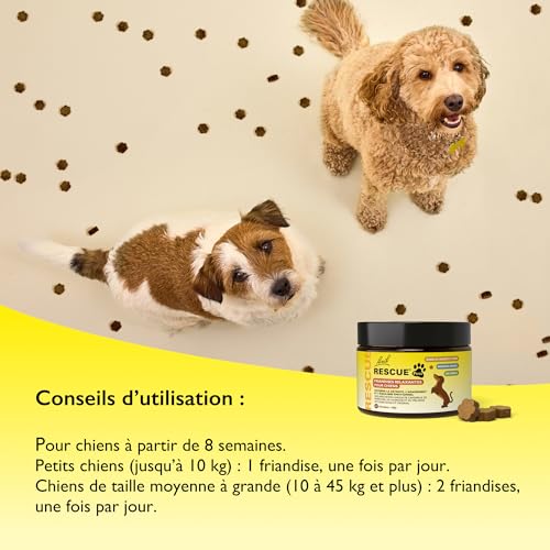 Rescue Pets – Leckerli für Hunde – Ruhe für Reisen, Lärm, Einsamkeit, Tierarztbesuch – Vegan & ohne Alkohol – Natur