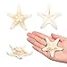 Yixuan 10PCS Estrellas de mar Estrella de mar Natural Estrella de mar...