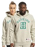Champion Herren Hoodies Stranger Things grau M