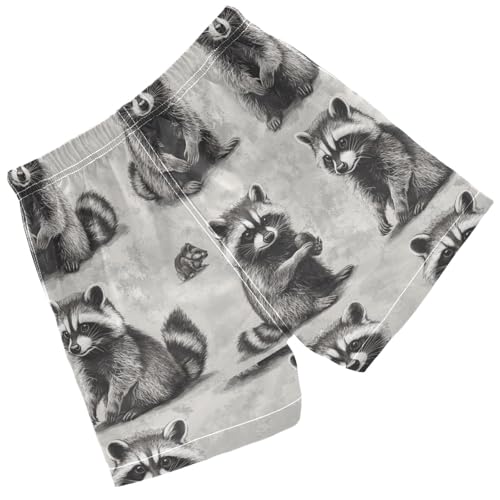 Pigsaly Boys' Swim Board Shorts Vintage White Grey Funny Raccoon Boy's Swim Trunks Kids Swimwear 4T2