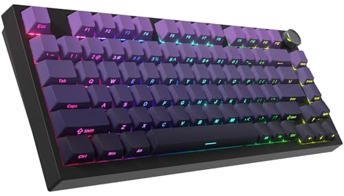 COSTOM WK75 75% Wireless Gaming Mechanical Keyboard,BT5.0/2.4GHz/USB-C, Hot Swappable Pre-lubed Custom Linear Switches,Gasket Structure,RGB Backlit Keyboard for PC/Laptop/Xbox/PS4/PS5 (Purple)