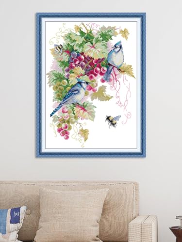 Image of Aiorkeng Cross Stitch Kits Stamped Full Range of Embroidery Starter Kits for Adults Beginners DIY Needlepoint Kit 11CT 3 Strands -Printed kit Blue Jays and Grapes(Printed) 16.1x21.7 inches