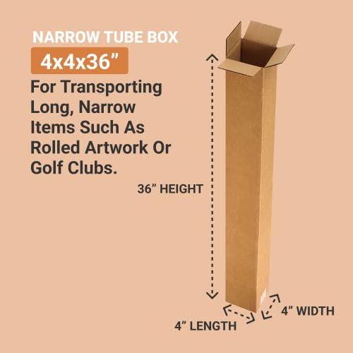 image for AVIDITI Long Boxes 4