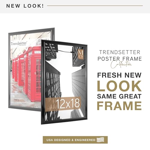 MCS Trendsetter 12x18 Poster Frame Black High-Gloss, Vertical & Horizontal Wall Hanging Large Picture Frame for Photos, Posters & Art Prints (2-Pack)