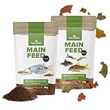 NatureHolic Hauptfeed Bundle - Granulat & Flocken Fischfutter fürs Aquarium - Abwechslungsrecih mit...