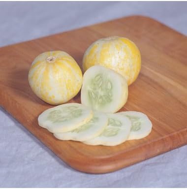 Cucumber Lemon Great Heirloom Vegetable Seeds by Seed Kingdom (100 Seeds)