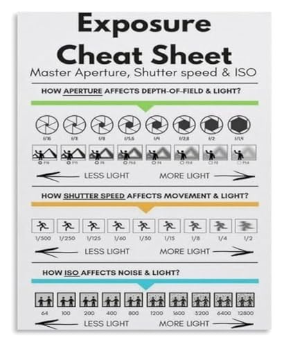 AZPAAAIH Exposure Triangle Photography Poster Quick Study Guide for Camera Enthusiasts Home Office Decor(Framed,08x12inch(20x30c