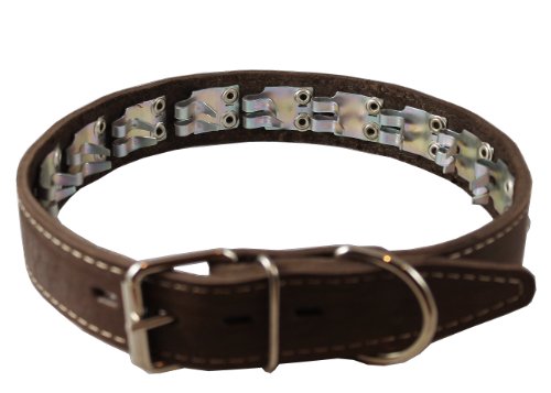 Training Pinch And Genuine Leather Studded Dog Collar Fits 16"-19" Neck Brown 24"X1" Wide #TOP13