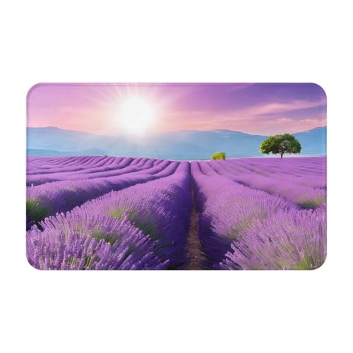 Romantic Purple Lavender Print Living Room Bathroom Kitchen Anti Slip and Absorbent Carpet, Indoor Entrance Door Muddy Floor Mat, Ultra Soft Washable Carpet 21x31.5 Inches