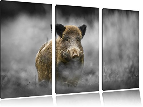 sanglier solitaire dans la forêt noir / blanc sur l'image 120x80 sur toile 3-pièces de l'image de la toile, énorme XXL Photos complètement encadrée avec civière, art impression sur murale avec cadre, gänstiger comme la peinture ou la peinture à l'huile, aucune affiche ou un poster