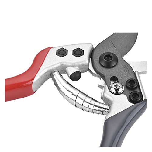 Wdong guihz Pruner Tree Cutter Tuinieren Snoeien Shear Scissor Rvs Snijgereedschappen Set Home Tools Anti-Slip (Color… - Afbeelding 5