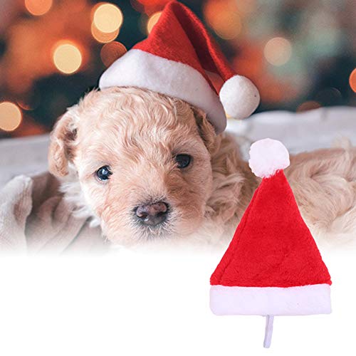 Huhuswwbin da Babbo Natale peluche Pet Dog Santa