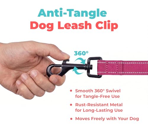 Image of Voyager Reflective Dog Leash with Neoprene Handle, 5ft Long, Supports Small, Medium, and Large Breed Puppies, Cute and Heavy Duty for Walking, Running, and Training - Fuchsia, S