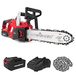 12 inch cordless chainsaw