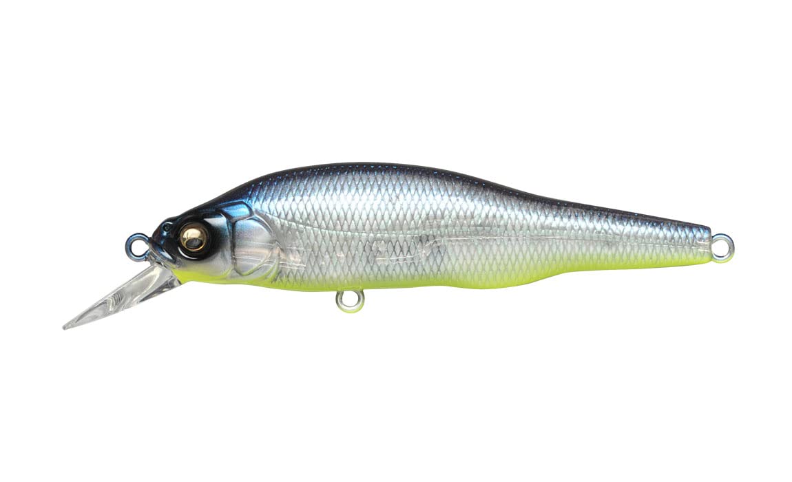 Amazon.co.jp: Megabass(メガバス)