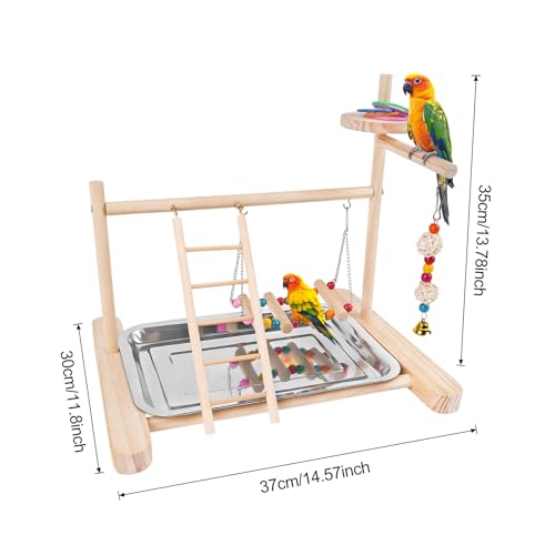 Chuiendi Bird Playground Play Stand Parrot Perch Stand, Natural Wood Play Gym for Parakeet Conure Cockatiel Lovebird Budgie with Feeder Cups, Swings, Ladder and Removable Tray