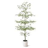 VeriNatural 7FT Artificial Black Olive Tree Indoor with White Planter – Tall Luxury Faux Olive Tree, Mediterranean Architectural Statement Decor for Living Room & Office,VN232