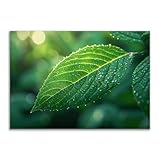 Transformez vos murs en une vitrine de sophistication avec nos superbes pièces d'art mural abstrait. Que vous préfériez des éclats de couleurs vives ou des compositions subtiles et minimalistes,notre sélection diversifiée offre quelque chose pour tous les styles et tous les goûts.