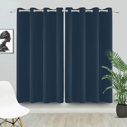 IKDZCM Cortinas Opacas Modernas de Color Liso con Ojales para Dormitorio, Sala de Estar, Cocina, hogar, decoración de Ventanas (Ancho x Alto/2 x 127 x 240 cm)