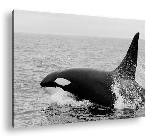 Format Orca 90x60 cm deyoli sublimez votre salon avec ce grand tableau en bois