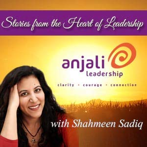 Page de couverture de Stories from the Heart of Leadership