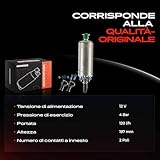 Frankberg B07KQ1R872 lato 4