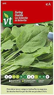 Belleville Sorrel Seeds - Aromatic Plant - 3 g - Seeds: 1000
