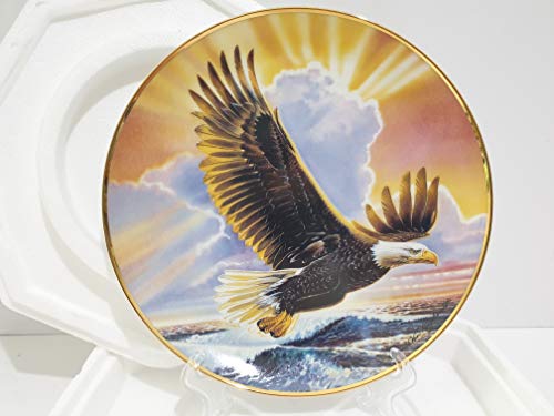 Franklin Mint Ronald Van Ruyckevelt Eagle Collector Plate - Wings Of Majesty #TOP1