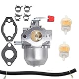 HQParts Carburetor 0C1535ASRV for 4000XL 0C1535ASRV OC1535ASRV 4000EXL GN220 Carb 7.8HP with Gasket Fuel Filter