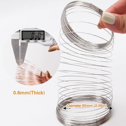 EuTengHao Jewelry Wire Memory Beading Wire Stainless Steel Craft Wire for Jewelry Making Supplies Necklace Bracelet Ring Earring Crafts DIY Jewelry Making (6 Colors*3 Yards, 440 Loops)