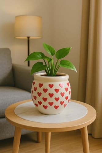 Image of Niyara Handcrafted Ceramic Flower Planter Pot | Decorative Indoor & Outdoor Pot | Multicolor Red Heart Print Design | Ideal for Home, Garden, Balcony, Office | Decor 6 Inch Heigh (Red Heart)