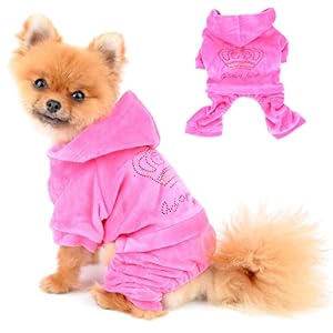SELMAI Rosa Samt Kapuzenpulli für kleine Hunde