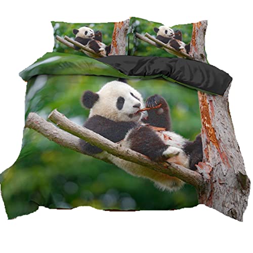 Cartoon Panda Bettwäsche-Set für Jungen Mädchen Kinder Teenager Weiche Mikrofaser Wilder Tier Pand Motiv Quilt 2/3-teilig Bettbezug Kissenbezug Schlafzimmer Dekoration (Muster 1, 135_x_200_cm) Cover