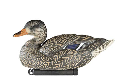 Dakota Decoy X-Treme Flocked Drake Head Mallards (12 Pack) 12120