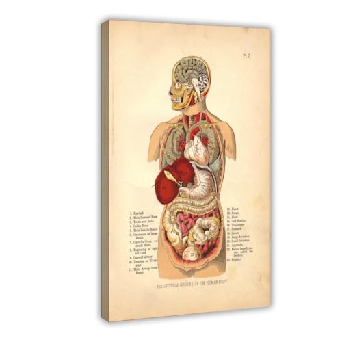 Affiches imprimées sur toile WCYB de qualité supérieure avec cadre suspendu 50,8x76,2 cm