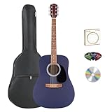 Fender FA Series Dreadnought Acoustic Guitar - Saphire Blue Bundle with Gig Bag, Strings, Picks, and Austin Bazaar Instructional DVD