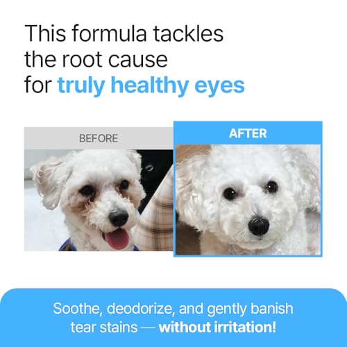 Image of Breezytail PetO'Cera Q-Eye, Eye Stain Remover for Dogs and Cats, Removes Tear Stains, Discharge, Soothes, Neutralizes Odors, Vet Approved, Korean Pet Skin Care (4 fl oz /120ml) (4 fl oz)