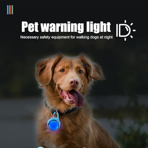 Chien invisible dans le noir ? Solution avec ce collier LED étanche