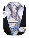 Barry.Wang Herren Satin Krawatte Set Krawatte Taschentuch Einfarbig Krawatte & Einstecktuch Krawattenklammer Set Hochzeit Krawatten