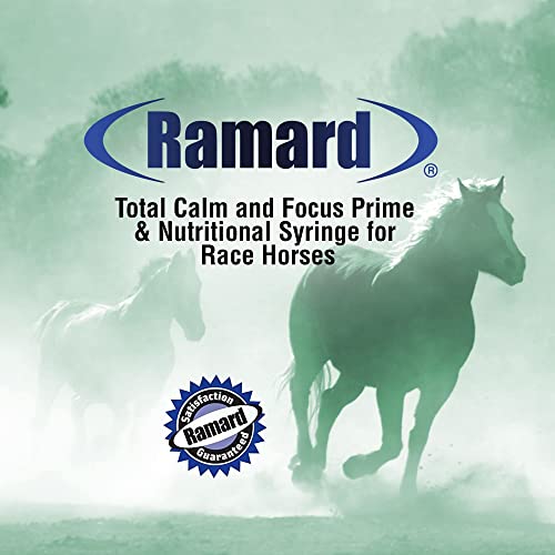Ramard Total Calm & Focus Natural Oral Gel | Magnesium & Calming Supplement For Horse Show, Training, & Performance |Supports Mental Alertness, Stamina & Endurance | Show Safe #TOP5